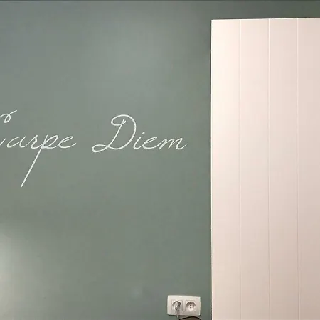 شقة Castel Aan Zee كوكسيجدي